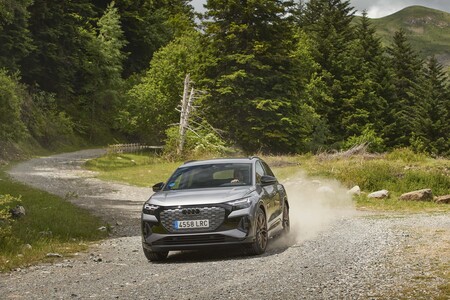 Audi Q4 Etron 71