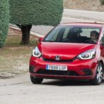 Raza mixta excepcional