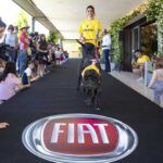 Fiat Professional, conductor de perros de adopción