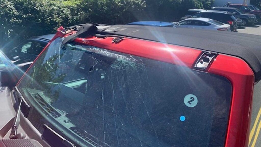 El propietario de un Bronco que se dañó en tránsito necesita uno nuevo
