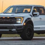 Nuevas vitaminas Raptor