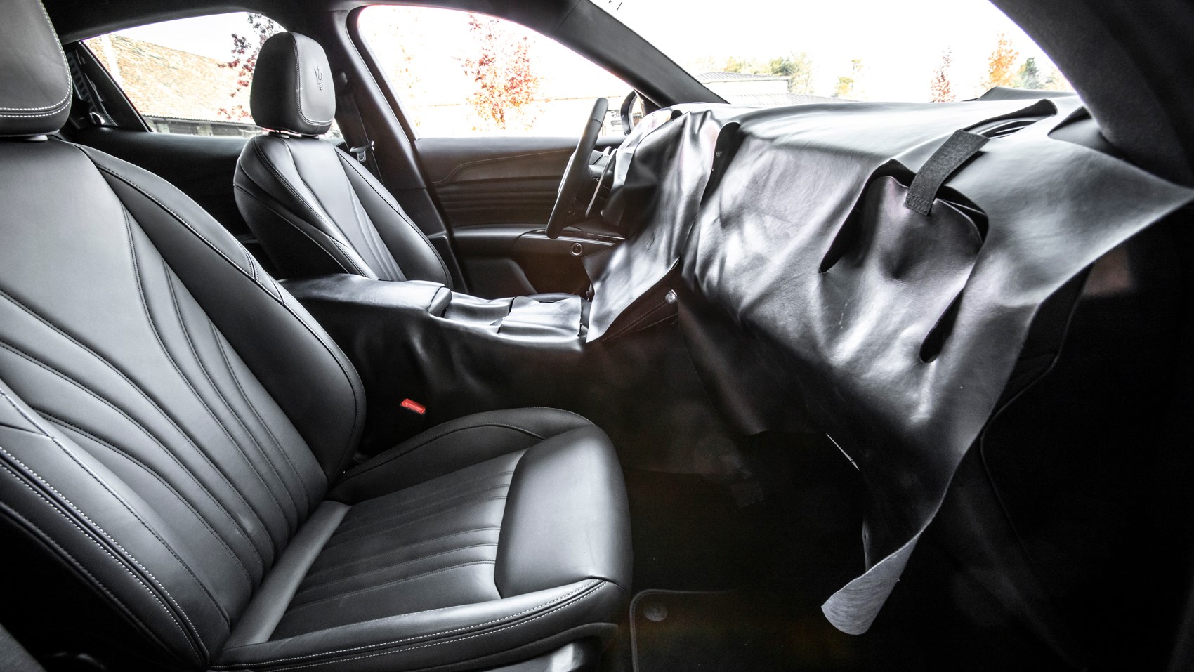 Dentro de la raíz de nuez sin tratar