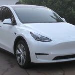 Los críticos dicen que el Tesla Model Y «parece un hombre gordo con un disfraz de esperma»