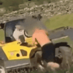 Granjero enojado usa su tractor para tirar el auto fuera de la entrada después de una discusión con un joven lleno de cerveza