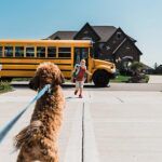 Cuándo detenerse para un autobús escolar