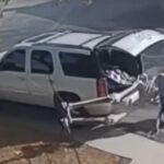 Ladrón roba esqueleto de 12 pies y lucha por conseguirlo en su GMC Yukon Denali
