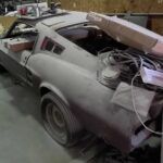 Aparce un Ford Shelby GT500 Año 1967 abandonado