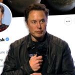 Los inversores y clientes de Tesla creen que las payasadas de Elon Musk en Twitter están perjudicando a la marca