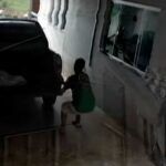 un accidentally tonto por no echar el freno de mano